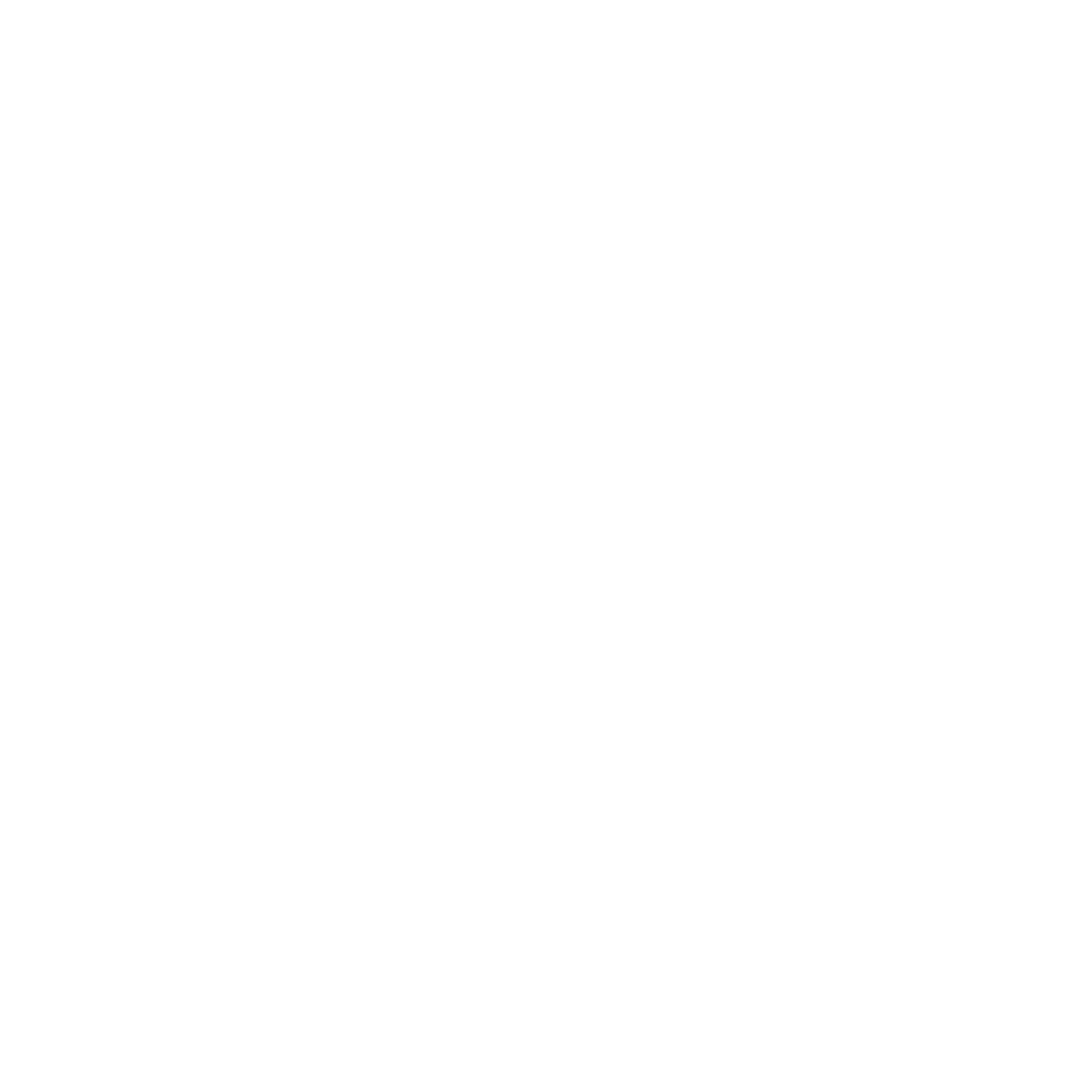 Logo Tina Naso